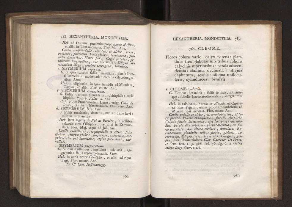 Felicis Avellar Broteri ... Flora Lusitanica, seu plantarum, quae in Lusitania vel sponte crescunt, vel frequentius colunter, ex florum praesertim sexubus systematice distributarum, synopsis. Vol. 1 305