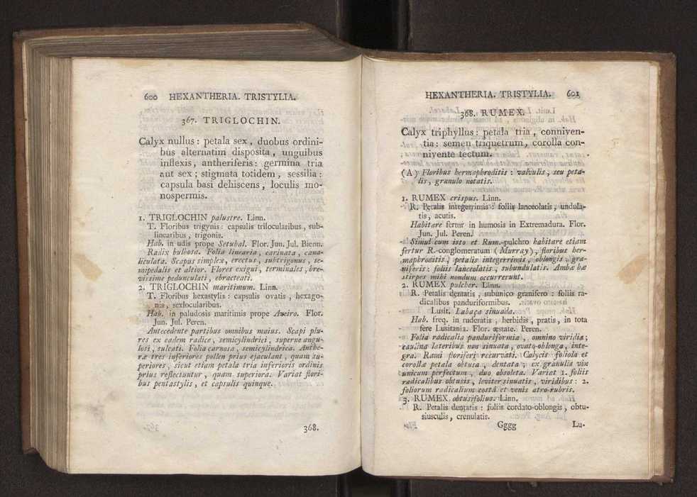 Felicis Avellar Broteri ... Flora Lusitanica, seu plantarum, quae in Lusitania vel sponte crescunt, vel frequentius colunter, ex florum praesertim sexubus systematice distributarum, synopsis. Vol. 1 311