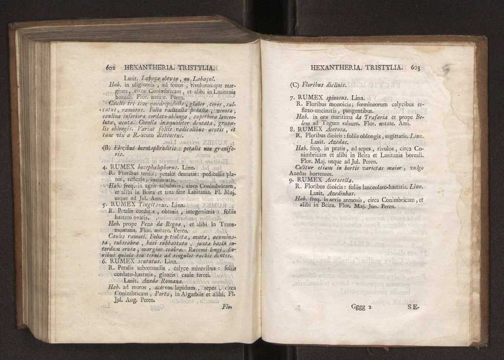 Felicis Avellar Broteri ... Flora Lusitanica, seu plantarum, quae in Lusitania vel sponte crescunt, vel frequentius colunter, ex florum praesertim sexubus systematice distributarum, synopsis. Vol. 1 312