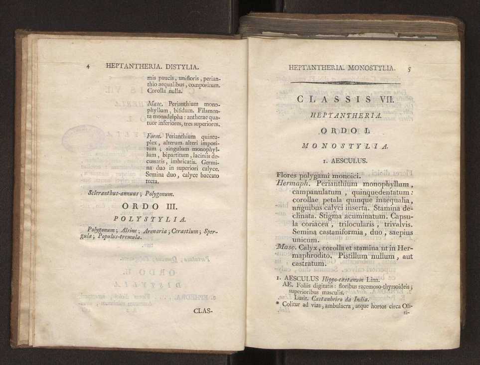 Felicis Avellar Broteri ... Flora Lusitanica, seu plantarum, quae in Lusitania vel sponte crescunt, vel frequentius colunter, ex florum praesertim sexubus systematice distributarum, synopsis. Vol. 2 5