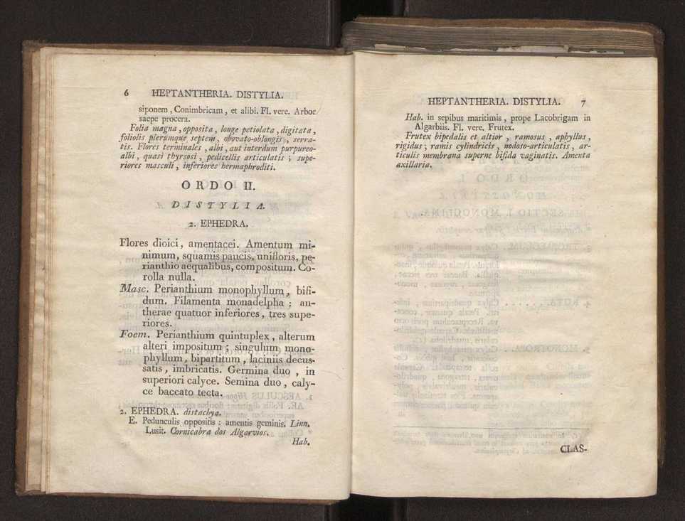 Felicis Avellar Broteri ... Flora Lusitanica, seu plantarum, quae in Lusitania vel sponte crescunt, vel frequentius colunter, ex florum praesertim sexubus systematice distributarum, synopsis. Vol. 2 6