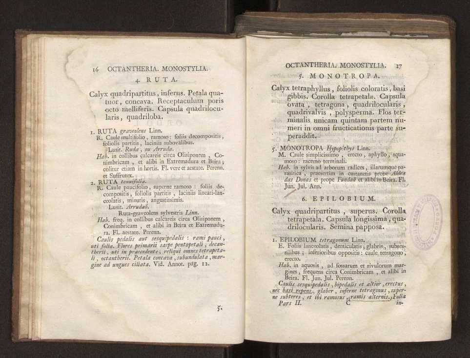 Felicis Avellar Broteri ... Flora Lusitanica, seu plantarum, quae in Lusitania vel sponte crescunt, vel frequentius colunter, ex florum praesertim sexubus systematice distributarum, synopsis. Vol. 2 11