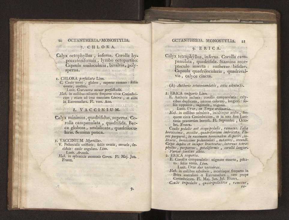 Felicis Avellar Broteri ... Flora Lusitanica, seu plantarum, quae in Lusitania vel sponte crescunt, vel frequentius colunter, ex florum praesertim sexubus systematice distributarum, synopsis. Vol. 2 13