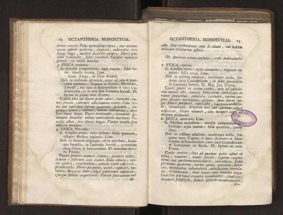 Felicis Avellar Broteri ... Flora Lusitanica, seu plantarum, quae in Lusitania vel sponte crescunt, vel frequentius colunter, ex florum praesertim sexubus systematice distributarum, synopsis. Vol. 2 14