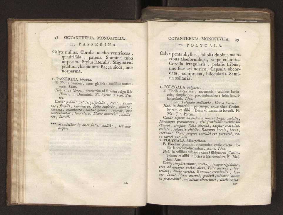 Felicis Avellar Broteri ... Flora Lusitanica, seu plantarum, quae in Lusitania vel sponte crescunt, vel frequentius colunter, ex florum praesertim sexubus systematice distributarum, synopsis. Vol. 2 17