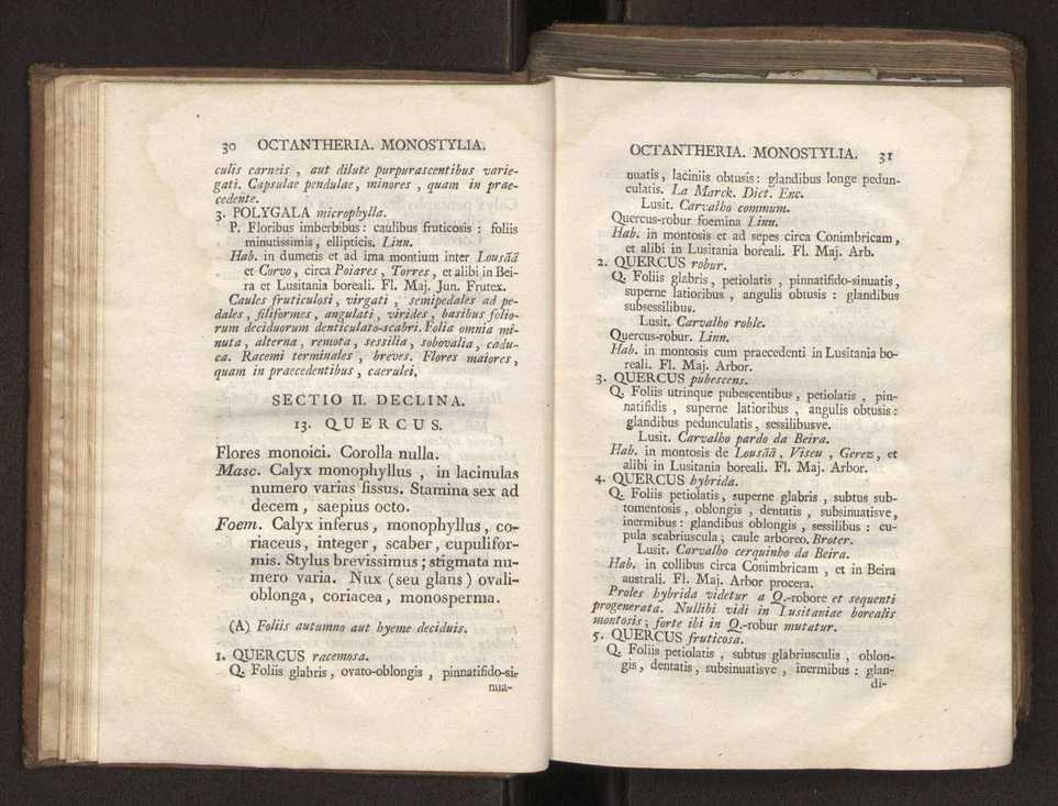 Felicis Avellar Broteri ... Flora Lusitanica, seu plantarum, quae in Lusitania vel sponte crescunt, vel frequentius colunter, ex florum praesertim sexubus systematice distributarum, synopsis. Vol. 2 18