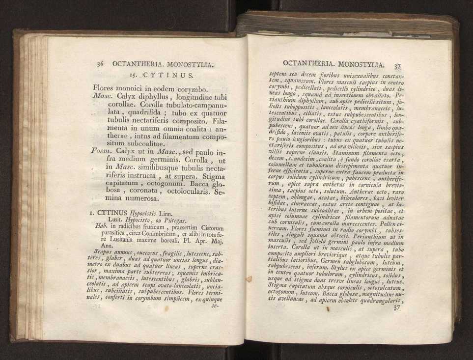 Felicis Avellar Broteri ... Flora Lusitanica, seu plantarum, quae in Lusitania vel sponte crescunt, vel frequentius colunter, ex florum praesertim sexubus systematice distributarum, synopsis. Vol. 2 21