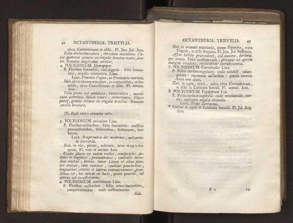 Felicis Avellar Broteri ... Flora Lusitanica, seu plantarum, quae in Lusitania vel sponte crescunt, vel frequentius colunter, ex florum praesertim sexubus systematice distributarum, synopsis. Vol. 2 24