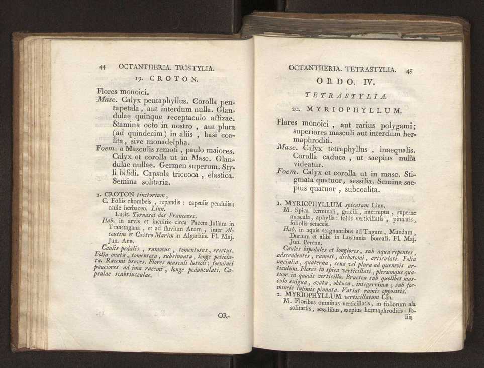 Felicis Avellar Broteri ... Flora Lusitanica, seu plantarum, quae in Lusitania vel sponte crescunt, vel frequentius colunter, ex florum praesertim sexubus systematice distributarum, synopsis. Vol. 2 25