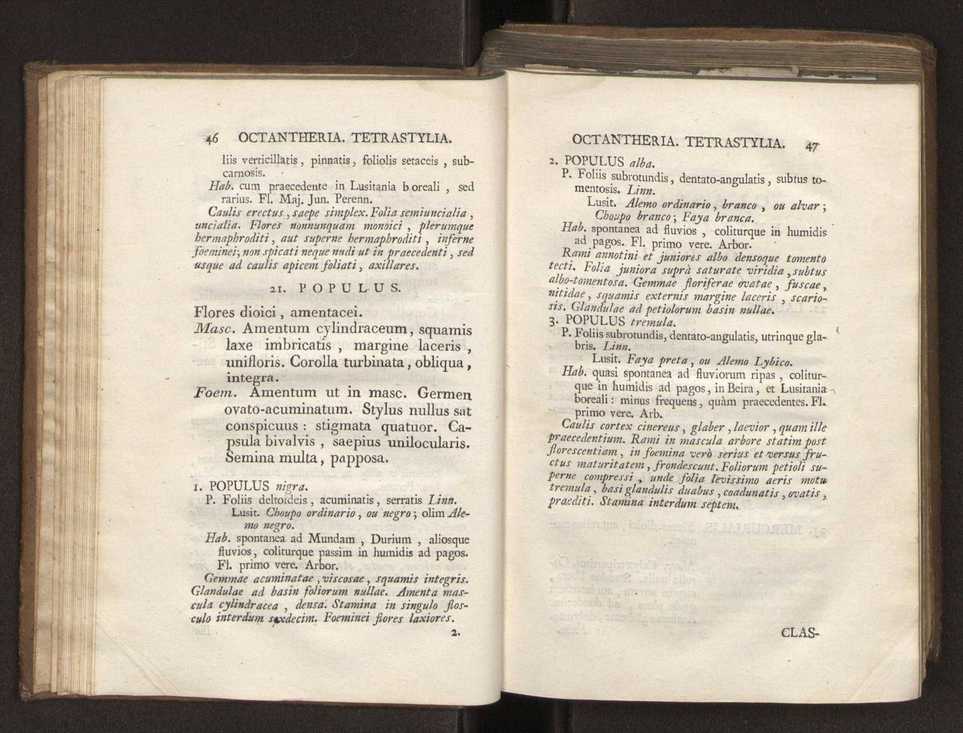 Felicis Avellar Broteri ... Flora Lusitanica, seu plantarum, quae in Lusitania vel sponte crescunt, vel frequentius colunter, ex florum praesertim sexubus systematice distributarum, synopsis. Vol. 2 26