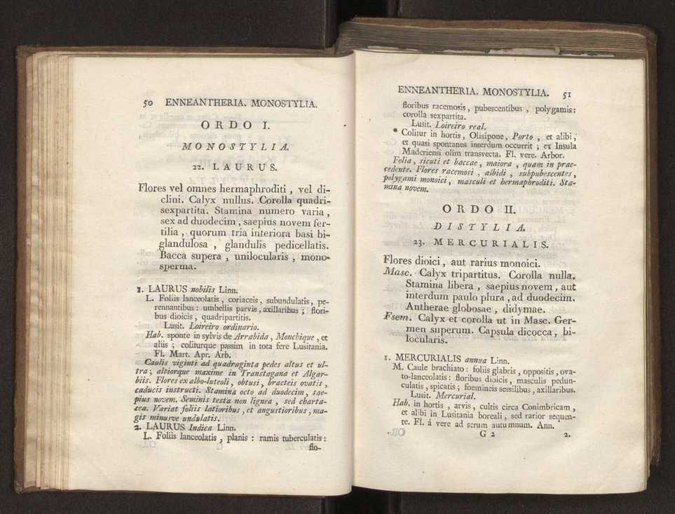 Felicis Avellar Broteri ... Flora Lusitanica, seu plantarum, quae in Lusitania vel sponte crescunt, vel frequentius colunter, ex florum praesertim sexubus systematice distributarum, synopsis. Vol. 2 28