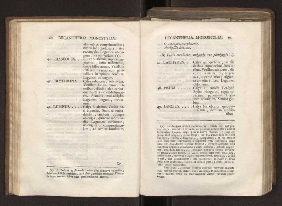 Felicis Avellar Broteri ... Flora Lusitanica, seu plantarum, quae in Lusitania vel sponte crescunt, vel frequentius colunter, ex florum praesertim sexubus systematice distributarum, synopsis. Vol. 2 33
