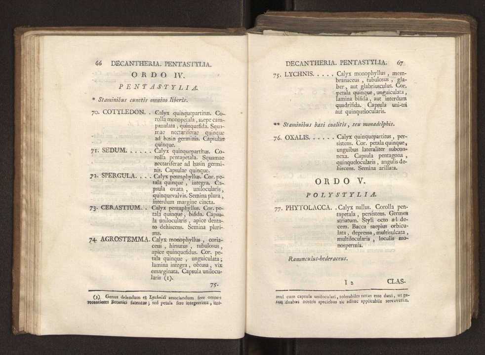 Felicis Avellar Broteri ... Flora Lusitanica, seu plantarum, quae in Lusitania vel sponte crescunt, vel frequentius colunter, ex florum praesertim sexubus systematice distributarum, synopsis. Vol. 2 36