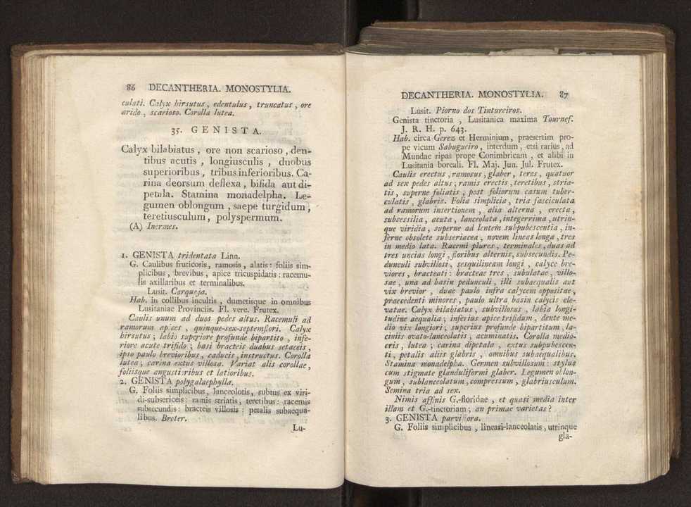 Felicis Avellar Broteri ... Flora Lusitanica, seu plantarum, quae in Lusitania vel sponte crescunt, vel frequentius colunter, ex florum praesertim sexubus systematice distributarum, synopsis. Vol. 2 46