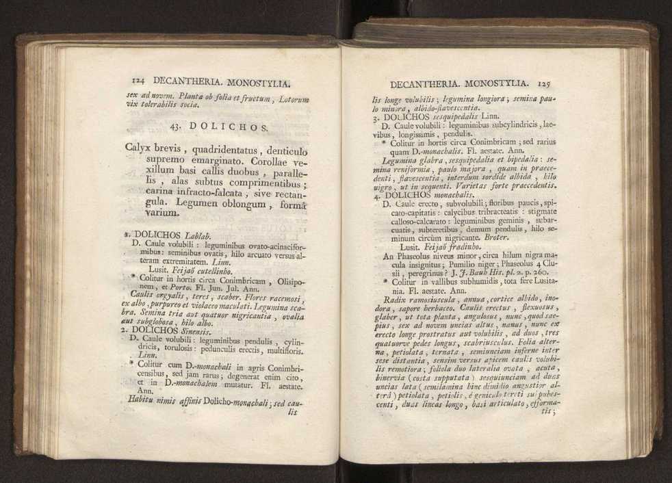 Felicis Avellar Broteri ... Flora Lusitanica, seu plantarum, quae in Lusitania vel sponte crescunt, vel frequentius colunter, ex florum praesertim sexubus systematice distributarum, synopsis. Vol. 2 65