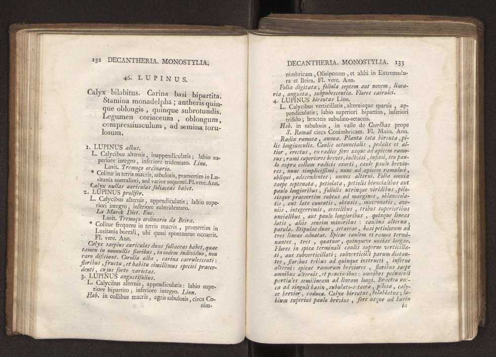 Felicis Avellar Broteri ... Flora Lusitanica, seu plantarum, quae in Lusitania vel sponte crescunt, vel frequentius colunter, ex florum praesertim sexubus systematice distributarum, synopsis. Vol. 2 69