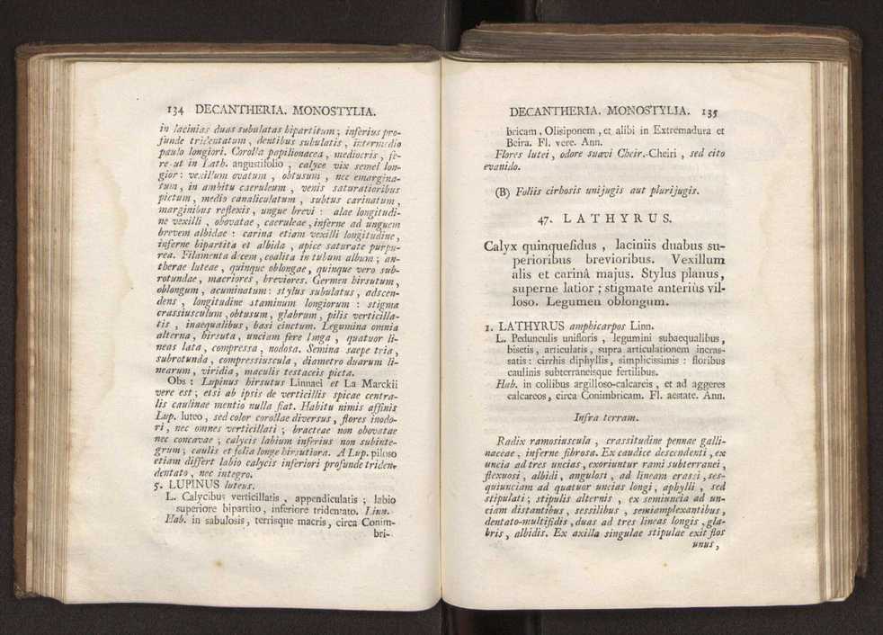 Felicis Avellar Broteri ... Flora Lusitanica, seu plantarum, quae in Lusitania vel sponte crescunt, vel frequentius colunter, ex florum praesertim sexubus systematice distributarum, synopsis. Vol. 2 70