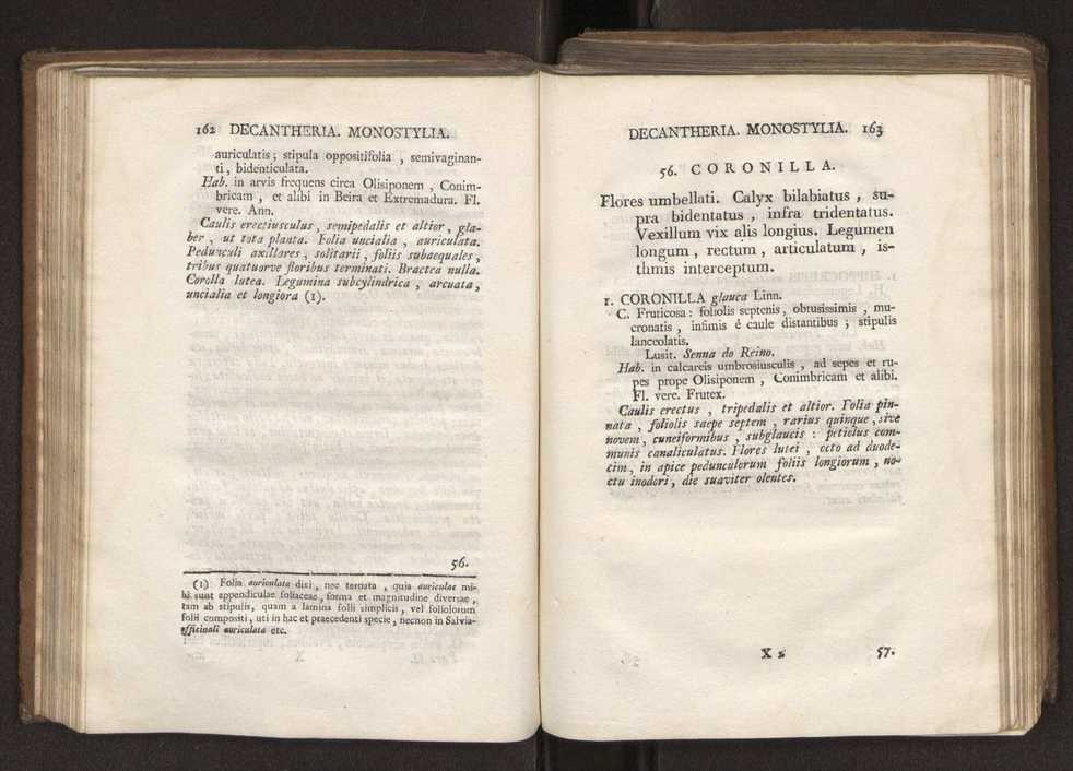Felicis Avellar Broteri ... Flora Lusitanica, seu plantarum, quae in Lusitania vel sponte crescunt, vel frequentius colunter, ex florum praesertim sexubus systematice distributarum, synopsis. Vol. 2 84