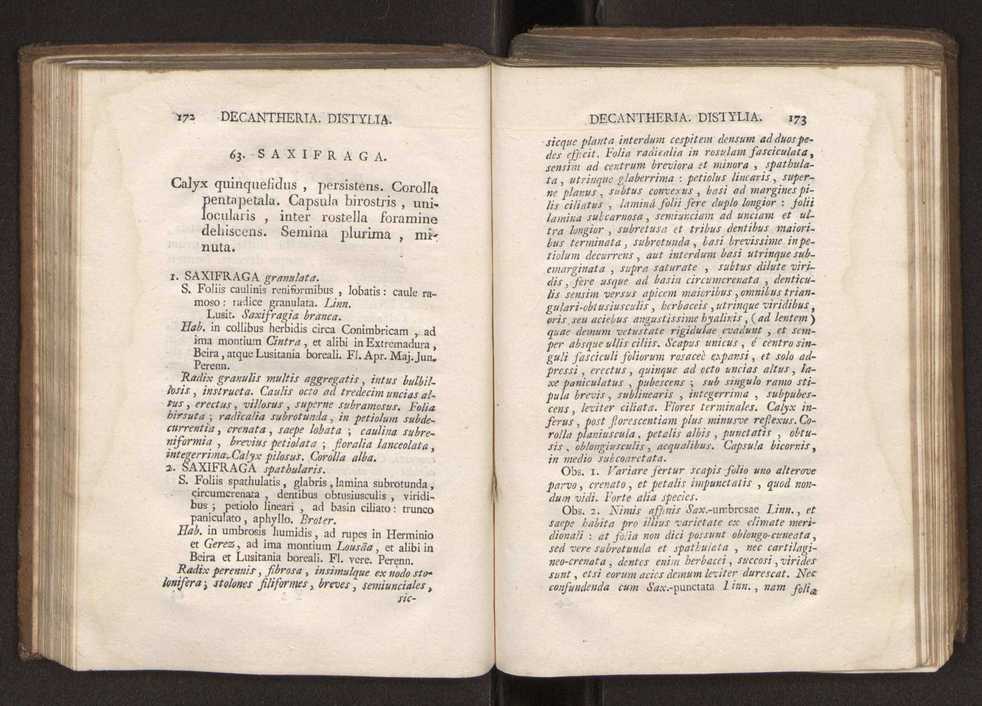Felicis Avellar Broteri ... Flora Lusitanica, seu plantarum, quae in Lusitania vel sponte crescunt, vel frequentius colunter, ex florum praesertim sexubus systematice distributarum, synopsis. Vol. 2 89
