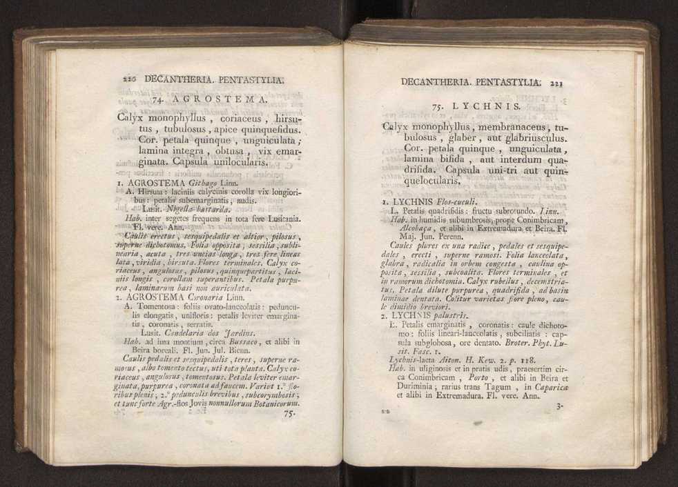 Felicis Avellar Broteri ... Flora Lusitanica, seu plantarum, quae in Lusitania vel sponte crescunt, vel frequentius colunter, ex florum praesertim sexubus systematice distributarum, synopsis. Vol. 2 113