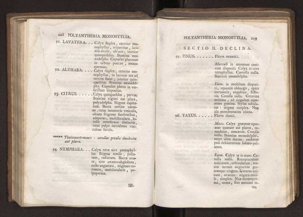 Felicis Avellar Broteri ... Flora Lusitanica, seu plantarum, quae in Lusitania vel sponte crescunt, vel frequentius colunter, ex florum praesertim sexubus systematice distributarum, synopsis. Vol. 2 117