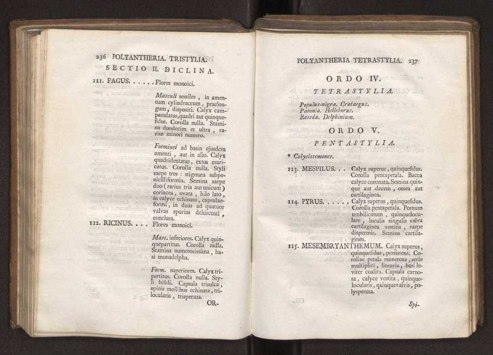 Felicis Avellar Broteri ... Flora Lusitanica, seu plantarum, quae in Lusitania vel sponte crescunt, vel frequentius colunter, ex florum praesertim sexubus systematice distributarum, synopsis. Vol. 2 121