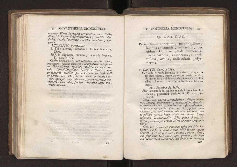 Felicis Avellar Broteri ... Flora Lusitanica, seu plantarum, quae in Lusitania vel sponte crescunt, vel frequentius colunter, ex florum praesertim sexubus systematice distributarum, synopsis. Vol. 2 125