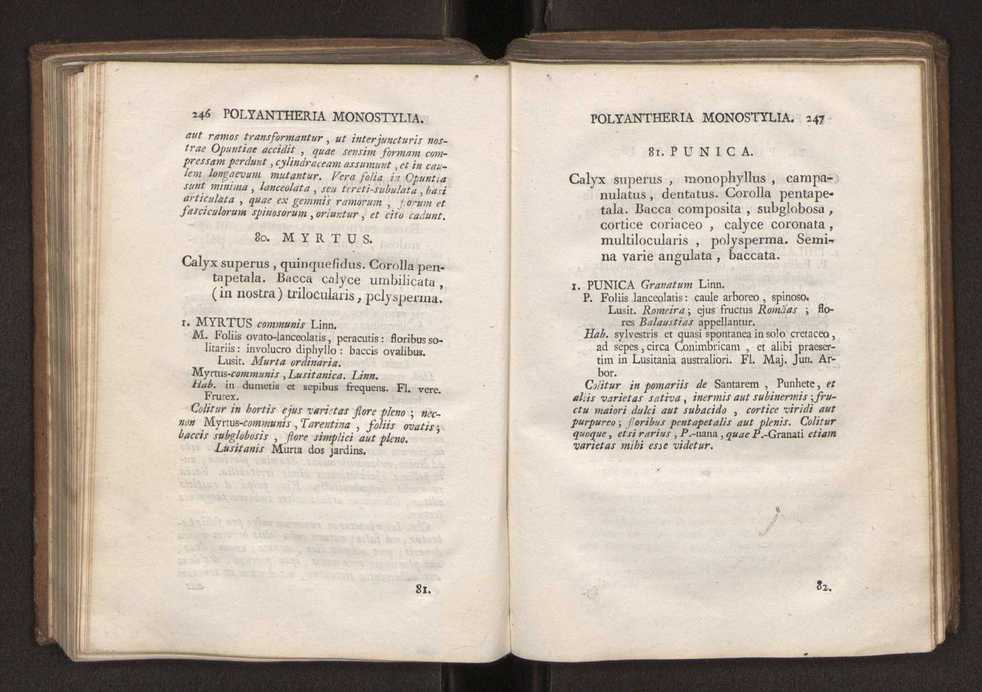 Felicis Avellar Broteri ... Flora Lusitanica, seu plantarum, quae in Lusitania vel sponte crescunt, vel frequentius colunter, ex florum praesertim sexubus systematice distributarum, synopsis. Vol. 2 126