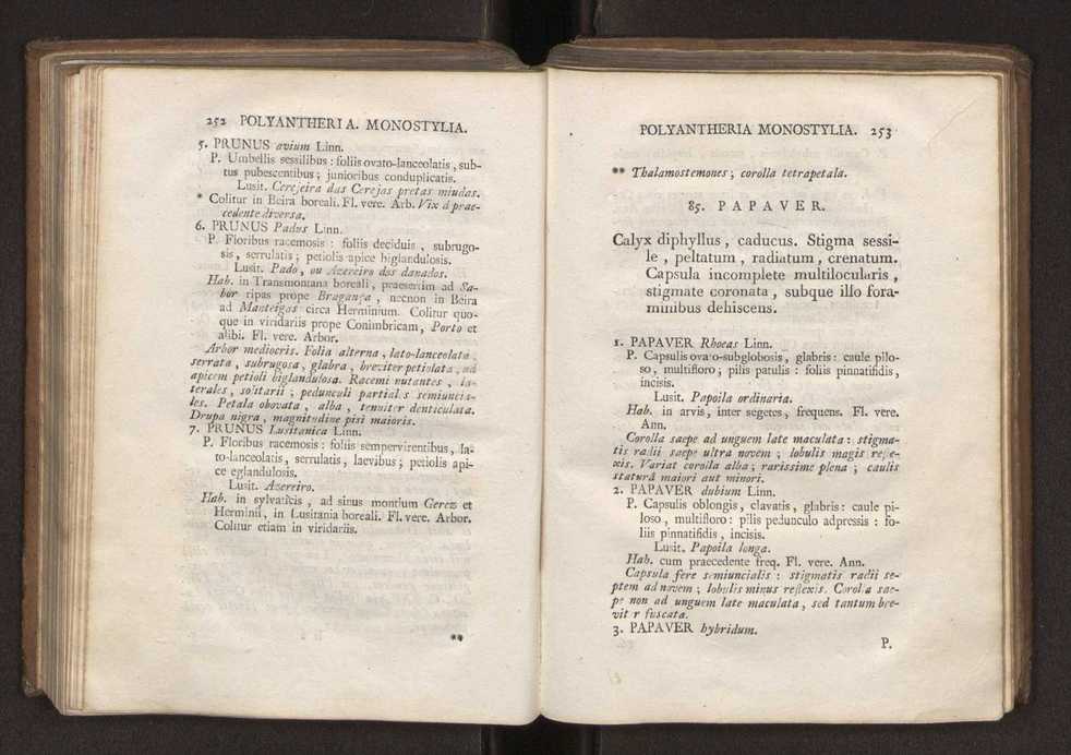 Felicis Avellar Broteri ... Flora Lusitanica, seu plantarum, quae in Lusitania vel sponte crescunt, vel frequentius colunter, ex florum praesertim sexubus systematice distributarum, synopsis. Vol. 2 129