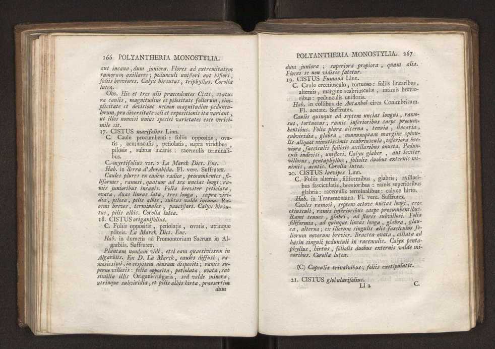 Felicis Avellar Broteri ... Flora Lusitanica, seu plantarum, quae in Lusitania vel sponte crescunt, vel frequentius colunter, ex florum praesertim sexubus systematice distributarum, synopsis. Vol. 2 136