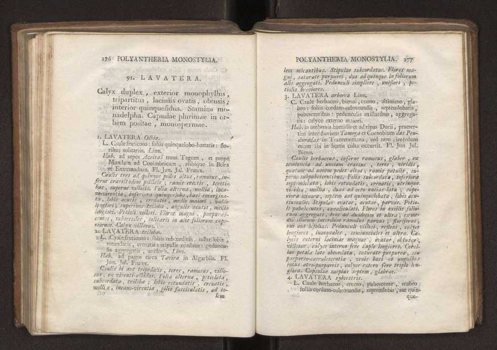 Felicis Avellar Broteri ... Flora Lusitanica, seu plantarum, quae in Lusitania vel sponte crescunt, vel frequentius colunter, ex florum praesertim sexubus systematice distributarum, synopsis. Vol. 2 141