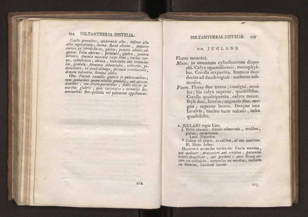 Felicis Avellar Broteri ... Flora Lusitanica, seu plantarum, quae in Lusitania vel sponte crescunt, vel frequentius colunter, ex florum praesertim sexubus systematice distributarum, synopsis. Vol. 2 150