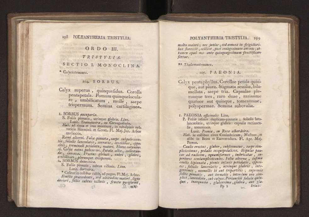 Felicis Avellar Broteri ... Flora Lusitanica, seu plantarum, quae in Lusitania vel sponte crescunt, vel frequentius colunter, ex florum praesertim sexubus systematice distributarum, synopsis. Vol. 2 152