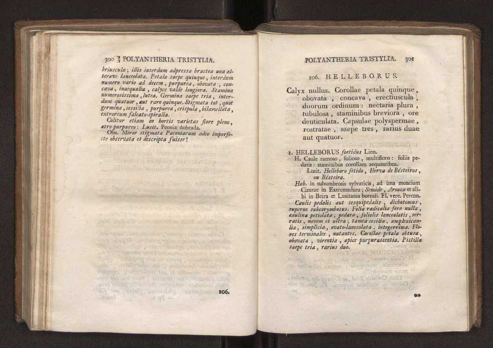 Felicis Avellar Broteri ... Flora Lusitanica, seu plantarum, quae in Lusitania vel sponte crescunt, vel frequentius colunter, ex florum praesertim sexubus systematice distributarum, synopsis. Vol. 2 153