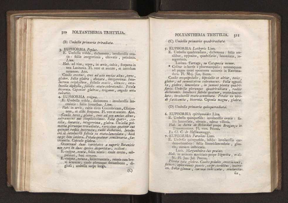 Felicis Avellar Broteri ... Flora Lusitanica, seu plantarum, quae in Lusitania vel sponte crescunt, vel frequentius colunter, ex florum praesertim sexubus systematice distributarum, synopsis. Vol. 2 158