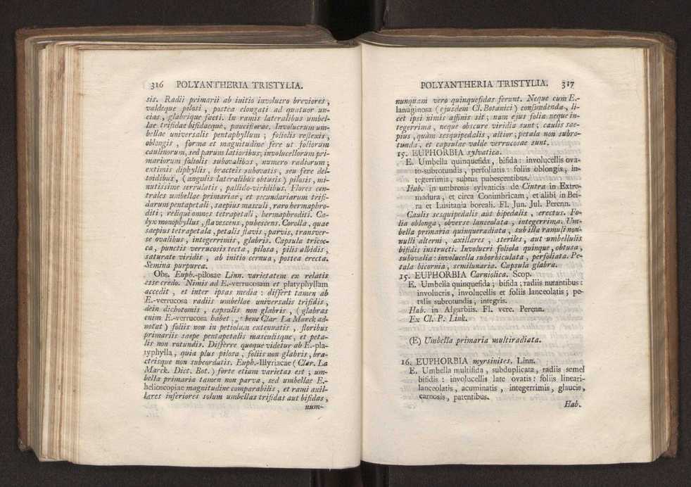 Felicis Avellar Broteri ... Flora Lusitanica, seu plantarum, quae in Lusitania vel sponte crescunt, vel frequentius colunter, ex florum praesertim sexubus systematice distributarum, synopsis. Vol. 2 161
