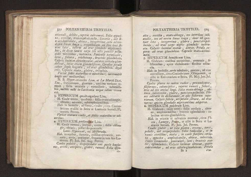 Felicis Avellar Broteri ... Flora Lusitanica, seu plantarum, quae in Lusitania vel sponte crescunt, vel frequentius colunter, ex florum praesertim sexubus systematice distributarum, synopsis. Vol. 2 164