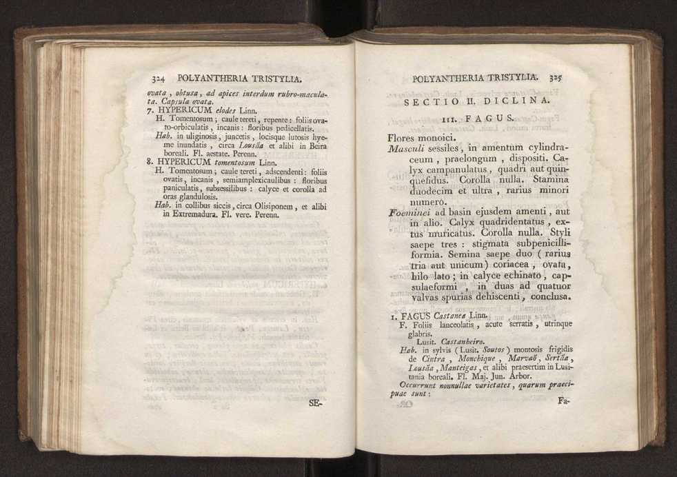 Felicis Avellar Broteri ... Flora Lusitanica, seu plantarum, quae in Lusitania vel sponte crescunt, vel frequentius colunter, ex florum praesertim sexubus systematice distributarum, synopsis. Vol. 2 165