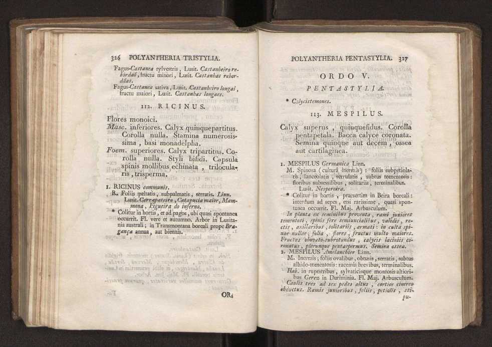 Felicis Avellar Broteri ... Flora Lusitanica, seu plantarum, quae in Lusitania vel sponte crescunt, vel frequentius colunter, ex florum praesertim sexubus systematice distributarum, synopsis. Vol. 2 166