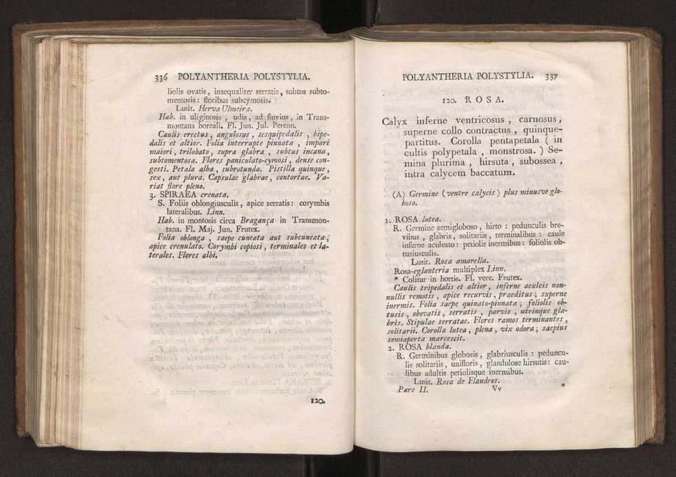 Felicis Avellar Broteri ... Flora Lusitanica, seu plantarum, quae in Lusitania vel sponte crescunt, vel frequentius colunter, ex florum praesertim sexubus systematice distributarum, synopsis. Vol. 2 171