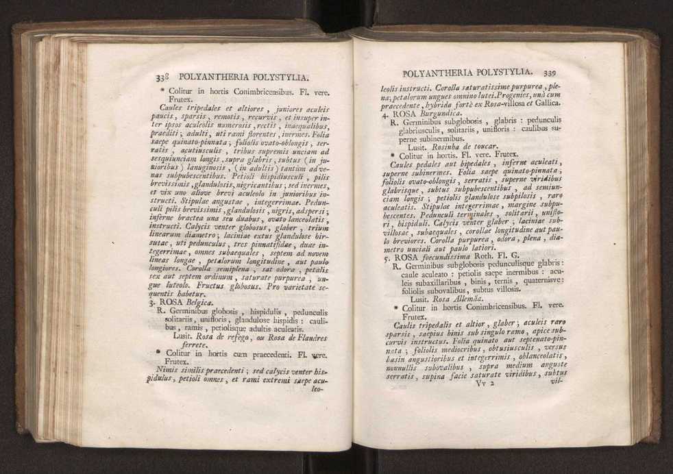 Felicis Avellar Broteri ... Flora Lusitanica, seu plantarum, quae in Lusitania vel sponte crescunt, vel frequentius colunter, ex florum praesertim sexubus systematice distributarum, synopsis. Vol. 2 172