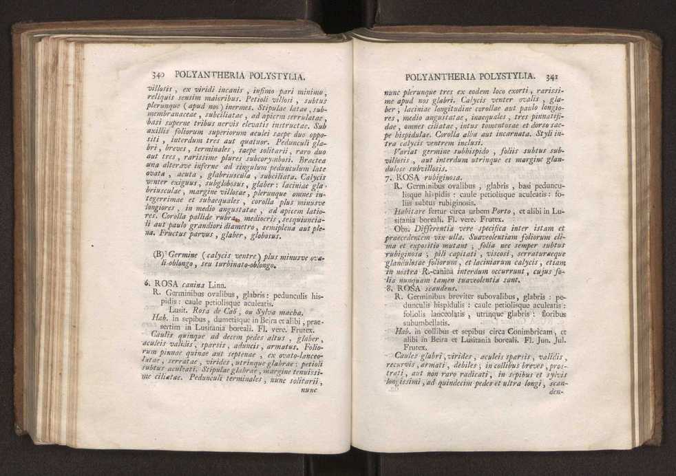 Felicis Avellar Broteri ... Flora Lusitanica, seu plantarum, quae in Lusitania vel sponte crescunt, vel frequentius colunter, ex florum praesertim sexubus systematice distributarum, synopsis. Vol. 2 173