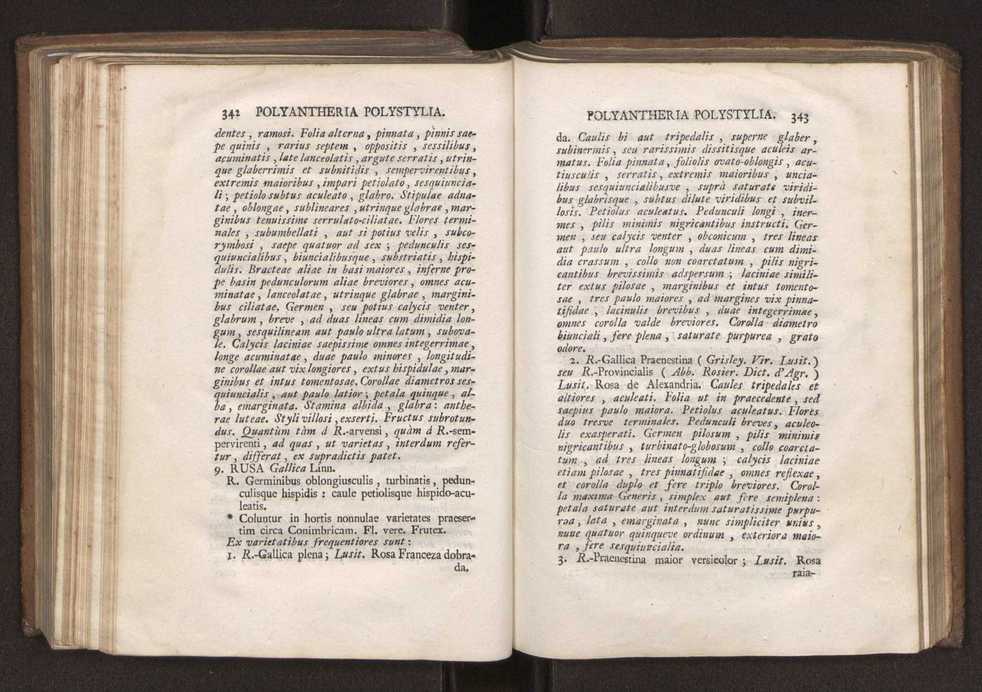 Felicis Avellar Broteri ... Flora Lusitanica, seu plantarum, quae in Lusitania vel sponte crescunt, vel frequentius colunter, ex florum praesertim sexubus systematice distributarum, synopsis. Vol. 2 174