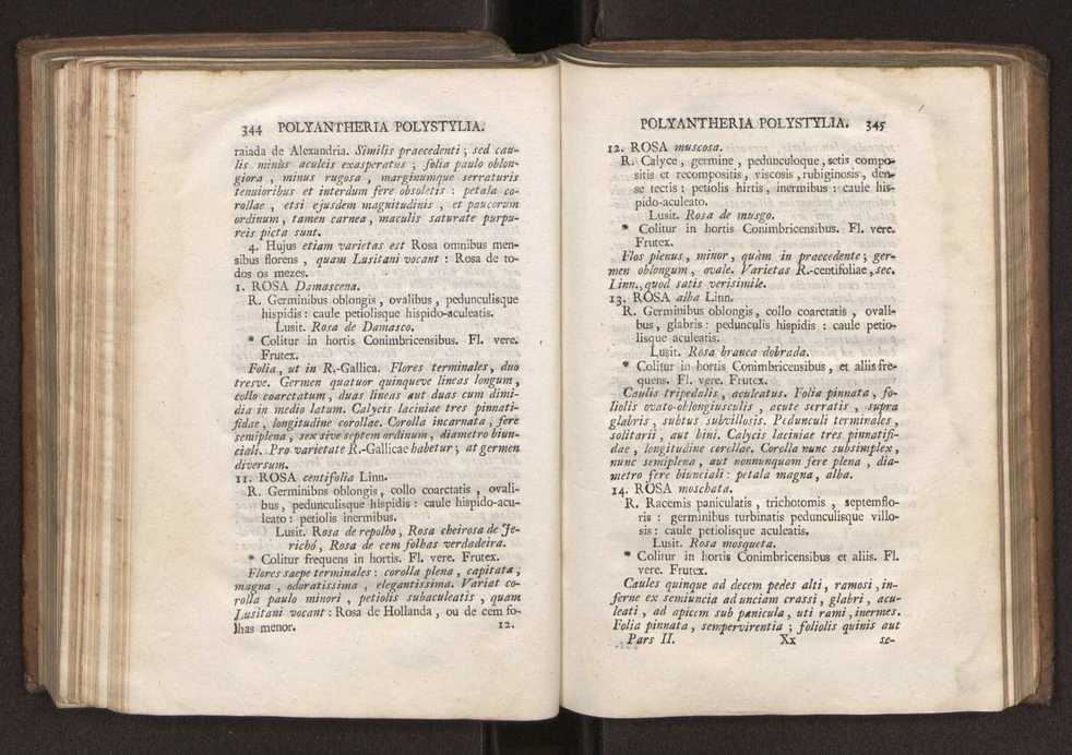 Felicis Avellar Broteri ... Flora Lusitanica, seu plantarum, quae in Lusitania vel sponte crescunt, vel frequentius colunter, ex florum praesertim sexubus systematice distributarum, synopsis. Vol. 2 175