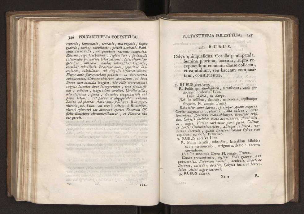 Felicis Avellar Broteri ... Flora Lusitanica, seu plantarum, quae in Lusitania vel sponte crescunt, vel frequentius colunter, ex florum praesertim sexubus systematice distributarum, synopsis. Vol. 2 176