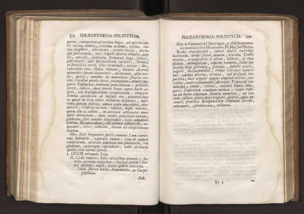 Felicis Avellar Broteri ... Flora Lusitanica, seu plantarum, quae in Lusitania vel sponte crescunt, vel frequentius colunter, ex florum praesertim sexubus systematice distributarum, synopsis. Vol. 2 180