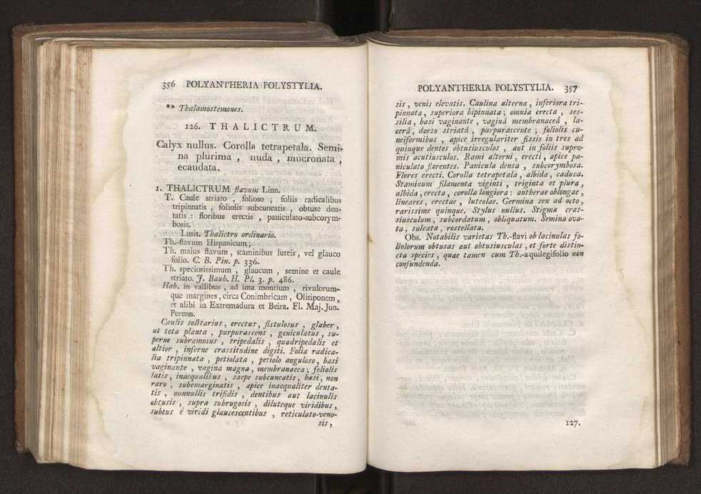 Felicis Avellar Broteri ... Flora Lusitanica, seu plantarum, quae in Lusitania vel sponte crescunt, vel frequentius colunter, ex florum praesertim sexubus systematice distributarum, synopsis. Vol. 2 181