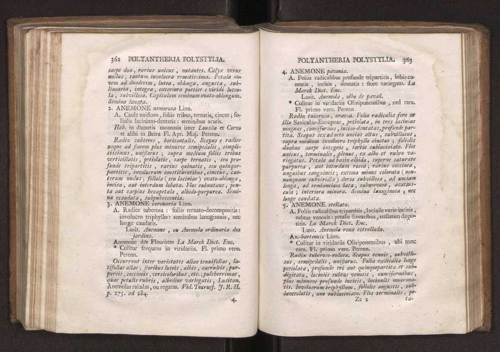 Felicis Avellar Broteri ... Flora Lusitanica, seu plantarum, quae in Lusitania vel sponte crescunt, vel frequentius colunter, ex florum praesertim sexubus systematice distributarum, synopsis. Vol. 2 184
