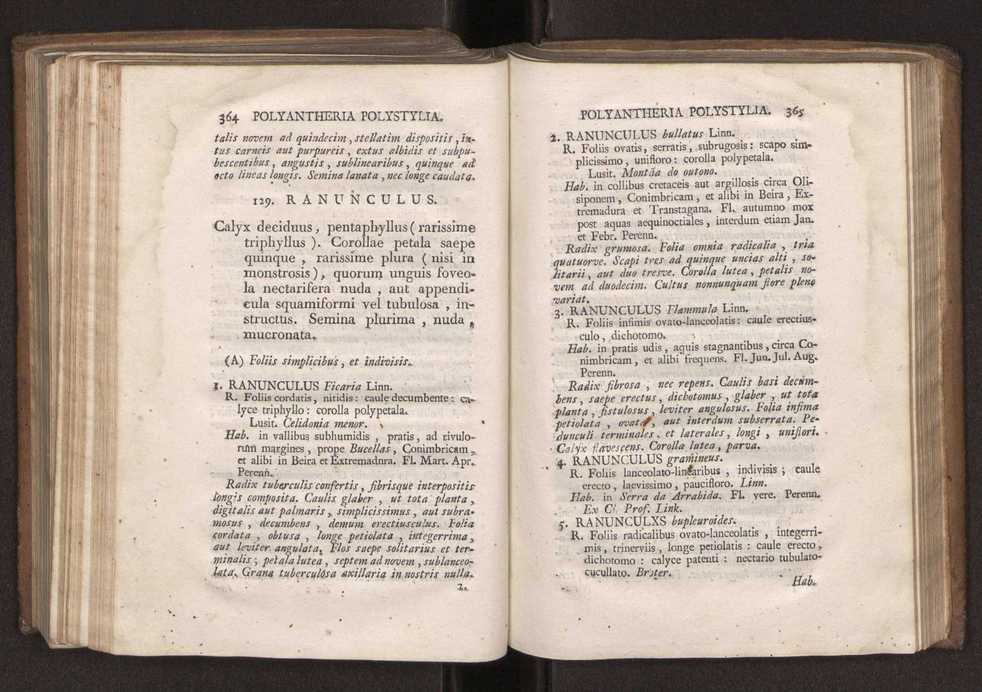Felicis Avellar Broteri ... Flora Lusitanica, seu plantarum, quae in Lusitania vel sponte crescunt, vel frequentius colunter, ex florum praesertim sexubus systematice distributarum, synopsis. Vol. 2 185