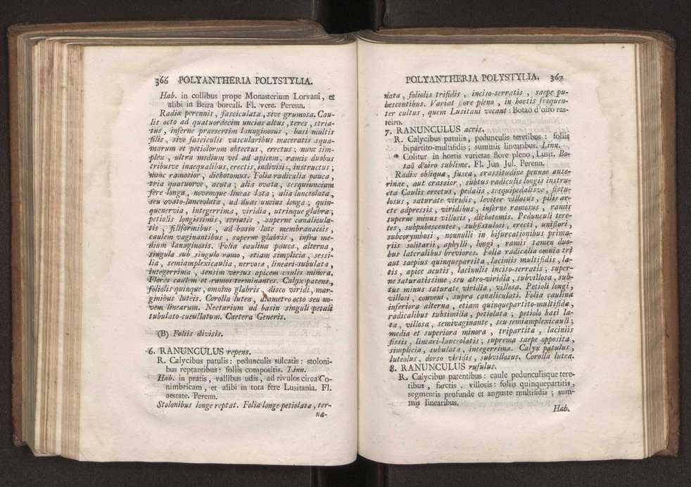Felicis Avellar Broteri ... Flora Lusitanica, seu plantarum, quae in Lusitania vel sponte crescunt, vel frequentius colunter, ex florum praesertim sexubus systematice distributarum, synopsis. Vol. 2 186